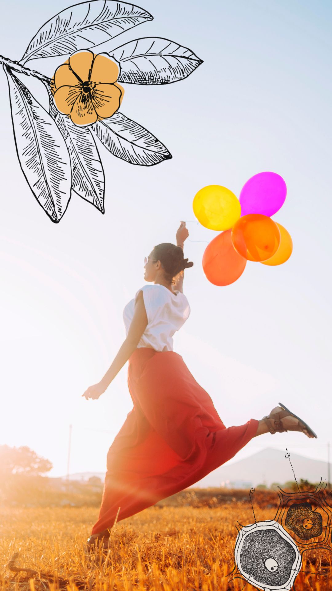 Single Post Header Image